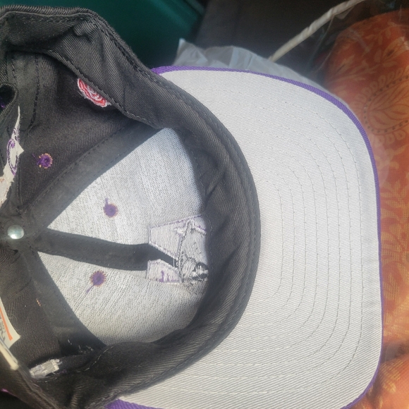 NORHWESTERN WILDCATS  ROSE BOWL  CAP - Picture 6 of 10